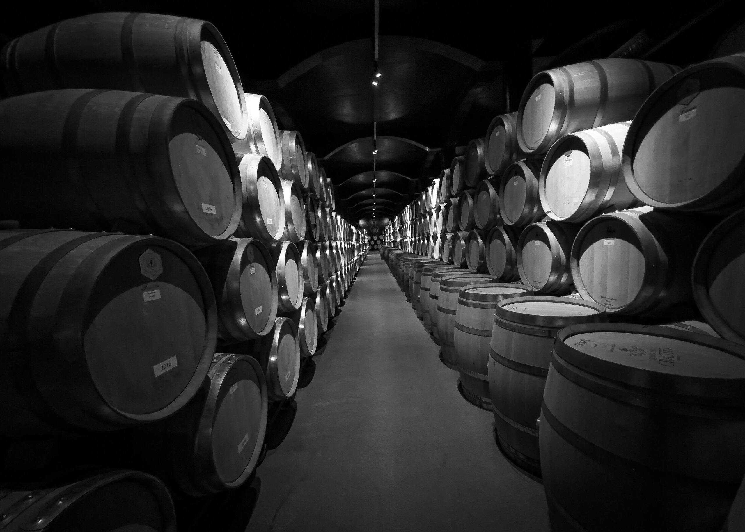 Portugal's Wine Industry: A Tapestry of Tradition and Opportunity